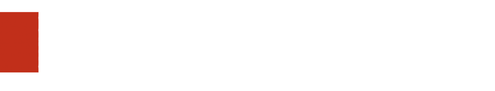 SwissEngineering STZ